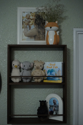 Shelf Front.png