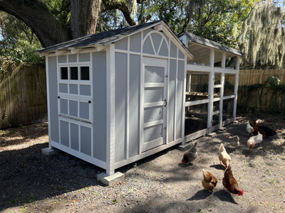 Chicken Coop Corner.png