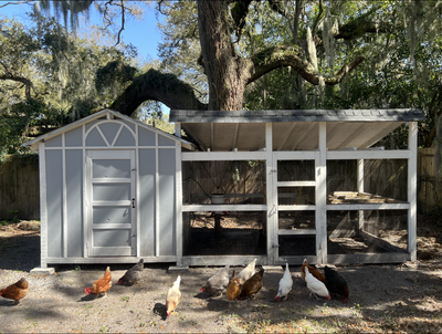 Chicken Coop Front.png